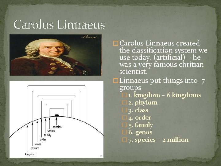 Carolus Linnaeus � Carolus Linnaeus created the classification system we use today. (artificial) –