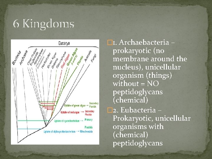 6 Kingdoms � 1. Archaebacteria – prokaryotic (no membrane around the nucleus), unicellular organism