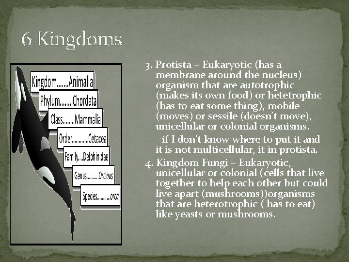 6 Kingdoms 3. Protista – Eukaryotic (has a membrane around the nucleus) organism that