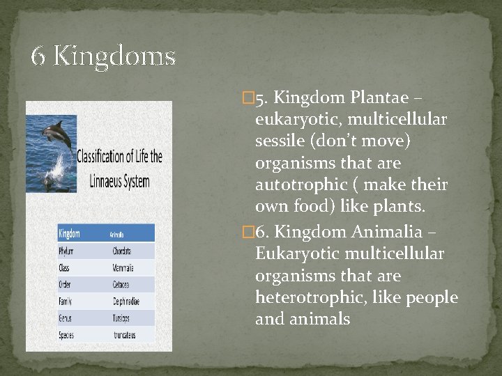 6 Kingdoms � 5. Kingdom Plantae – eukaryotic, multicellular sessile (don’t move) organisms that