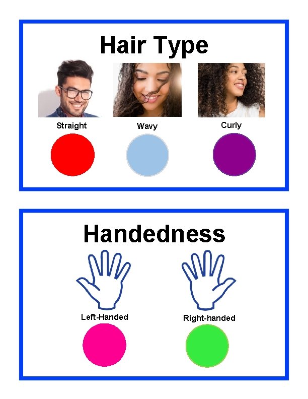 Hair Type Straight Wavy Curly Handedness Left-Handed Right-handed 