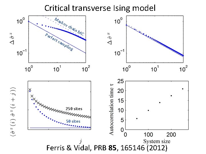 Critical transverse Ising model Ma rko v Per fec t sa cha in M