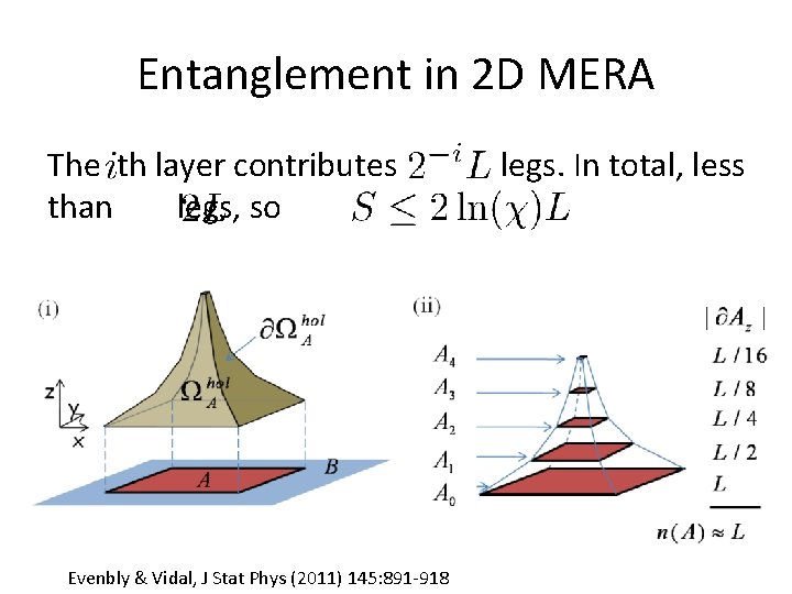 Entanglement in 2 D MERA The th layer contributes than legs, so Evenbly &