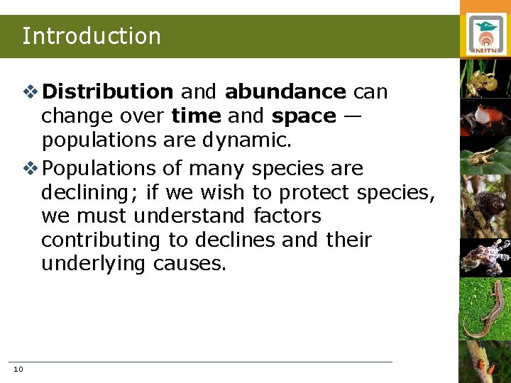 Introduction v Distribution and abundance can change over time and space — populations are