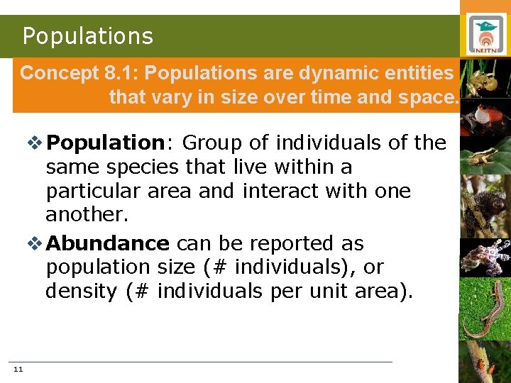 Populations Concept 8. 1: Populations are dynamic entities that vary in size over time