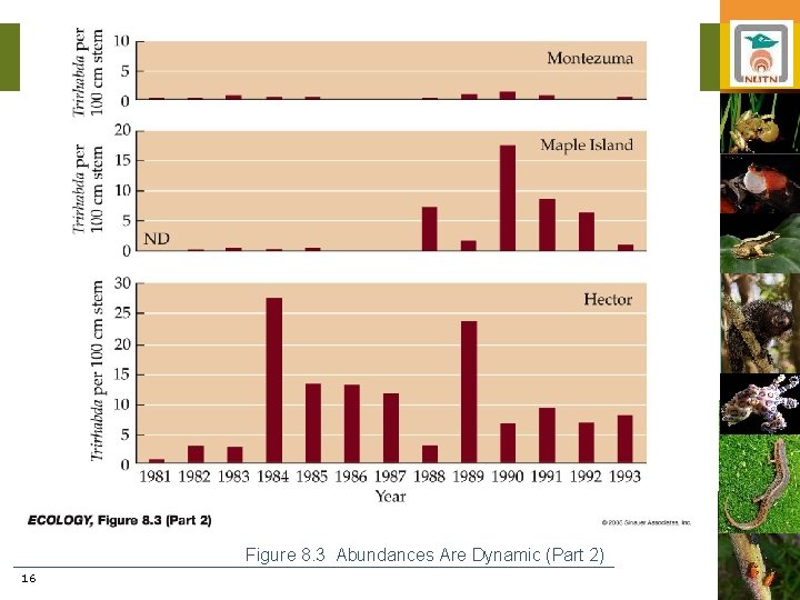 Figure 8. 3 Abundances Are Dynamic (Part 2) 16 