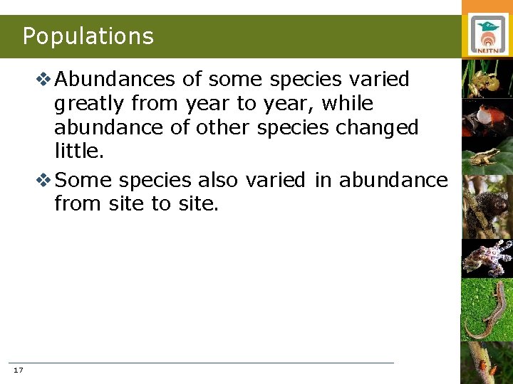 Populations v Abundances of some species varied greatly from year to year, while abundance