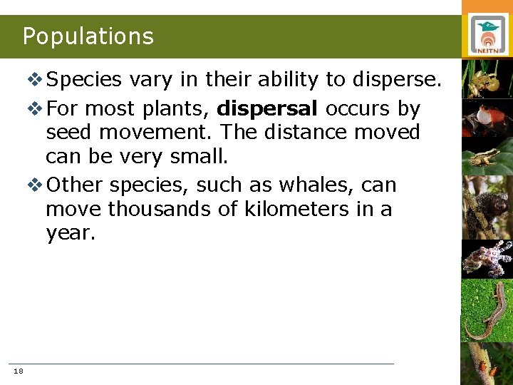 Populations v Species vary in their ability to disperse. v For most plants, dispersal