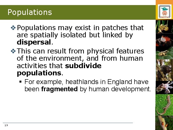 Populations v Populations may exist in patches that are spatially isolated but linked by