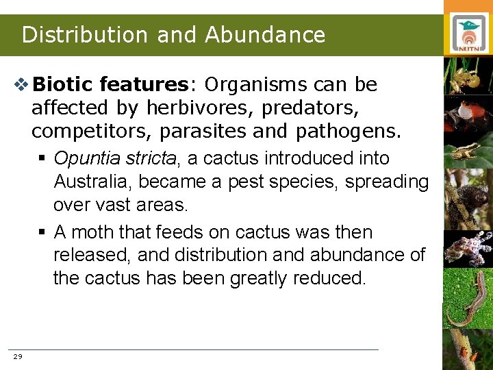 Distribution and Abundance v Biotic features: Organisms can be affected by herbivores, predators, competitors,