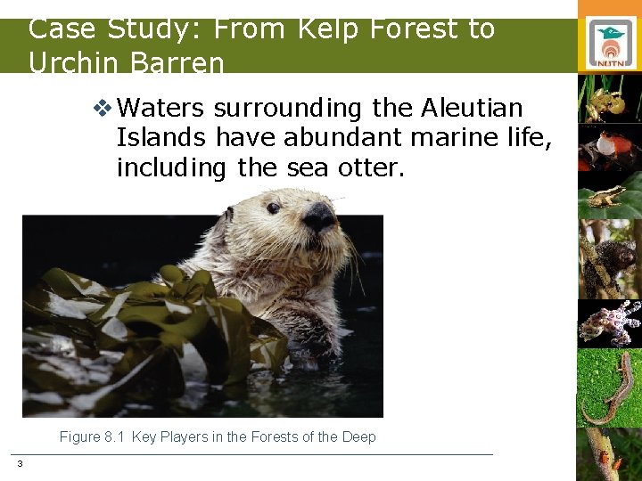 Case Study: From Kelp Forest to Urchin Barren v Waters surrounding the Aleutian Islands