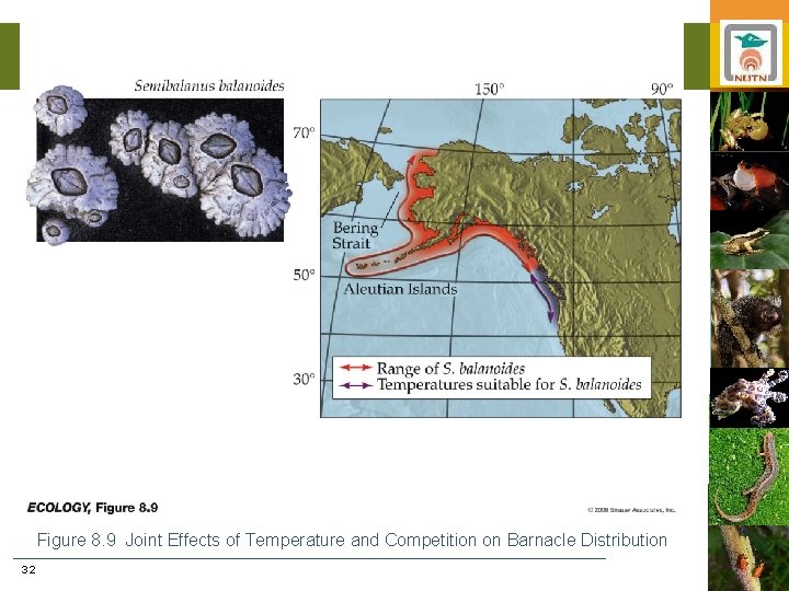 Figure 8. 9 Joint Effects of Temperature and Competition on Barnacle Distribution 32 