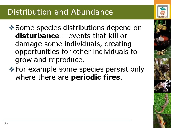Distribution and Abundance v Some species distributions depend on disturbance —events that kill or