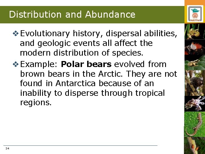 Distribution and Abundance v Evolutionary history, dispersal abilities, and geologic events all affect the