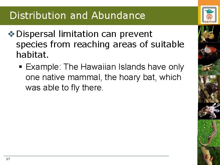 Distribution and Abundance v Dispersal limitation can prevent species from reaching areas of suitable