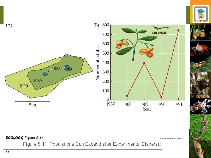 Figure 8. 11 Populations Can Expand after Experimental Dispersal 39 