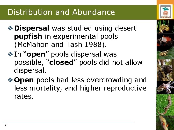 Distribution and Abundance v Dispersal was studied using desert pupfish in experimental pools (Mc.