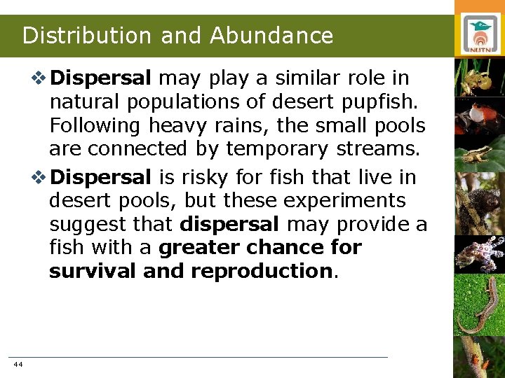 Distribution and Abundance v Dispersal may play a similar role in natural populations of