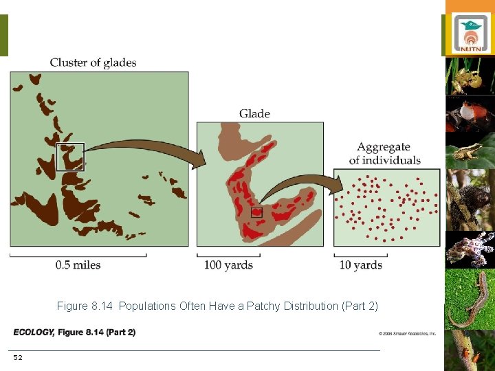 Figure 8. 14 Populations Often Have a Patchy Distribution (Part 2) 52 