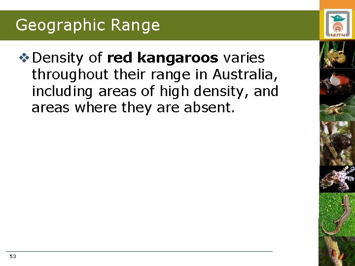 Geographic Range v Density of red kangaroos varies throughout their range in Australia, including