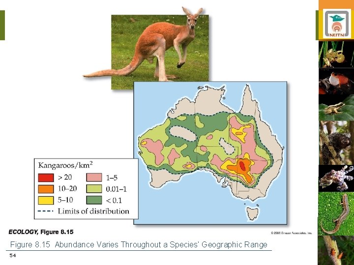 Figure 8. 15 Abundance Varies Throughout a Species’ Geographic Range 54 