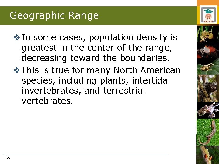 Geographic Range v In some cases, population density is greatest in the center of