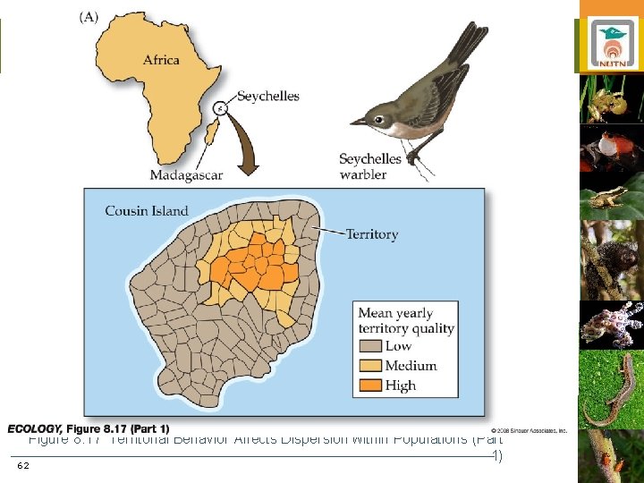 62 Figure 8. 17 Territorial Behavior Affects Dispersion within Populations (Part 1) 