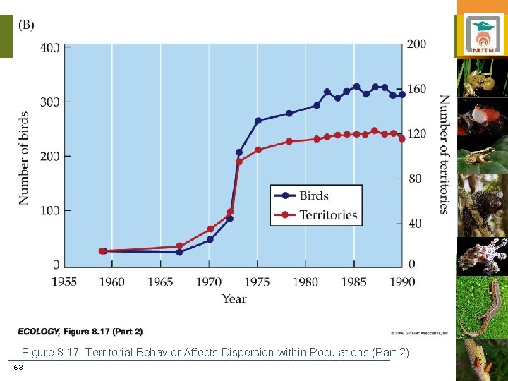 Figure 8. 17 Territorial Behavior Affects Dispersion within Populations (Part 2) 63 