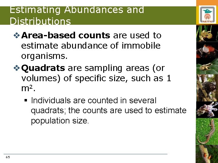 Estimating Abundances and Distributions v Area-based counts are used to estimate abundance of immobile