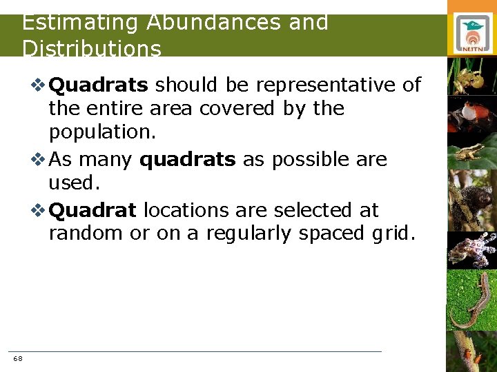 Estimating Abundances and Distributions v Quadrats should be representative of the entire area covered