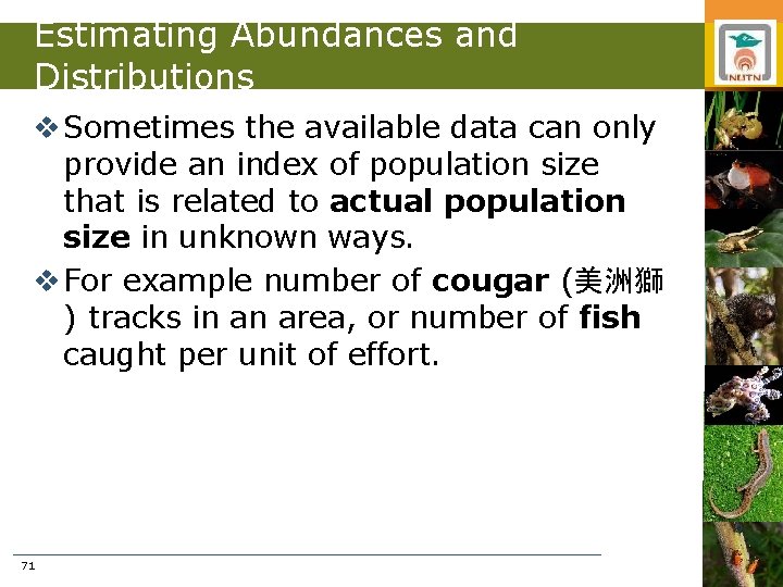 Estimating Abundances and Distributions v Sometimes the available data can only provide an index