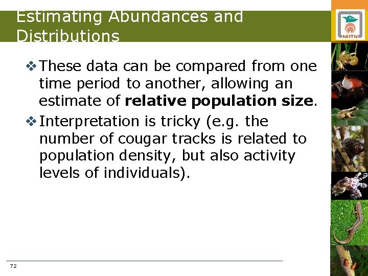 Estimating Abundances and Distributions v These data can be compared from one time period