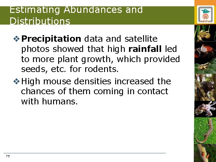 Estimating Abundances and Distributions v Precipitation data and satellite photos showed that high rainfall