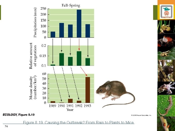 76 Figure 8. 19 Causing the Outbreak? From Rain to Plants to Mice 