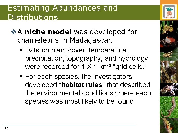 Estimating Abundances and Distributions v A niche model was developed for chameleons in Madagascar.