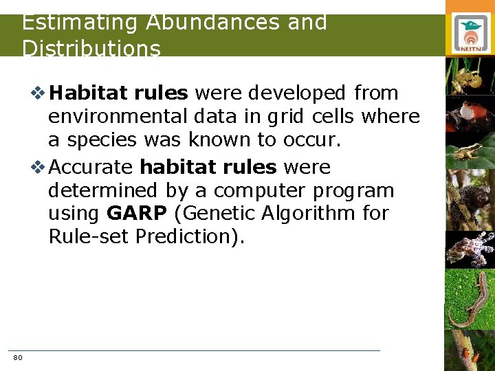 Estimating Abundances and Distributions v Habitat rules were developed from environmental data in grid