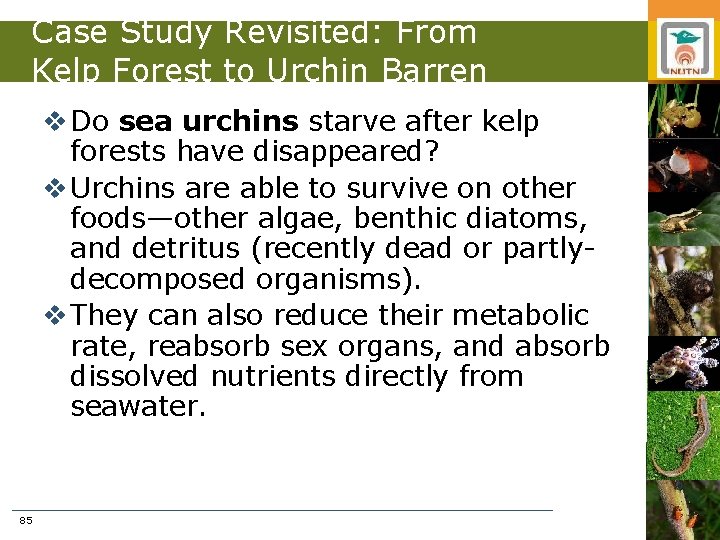 Case Study Revisited: From Kelp Forest to Urchin Barren v Do sea urchins starve