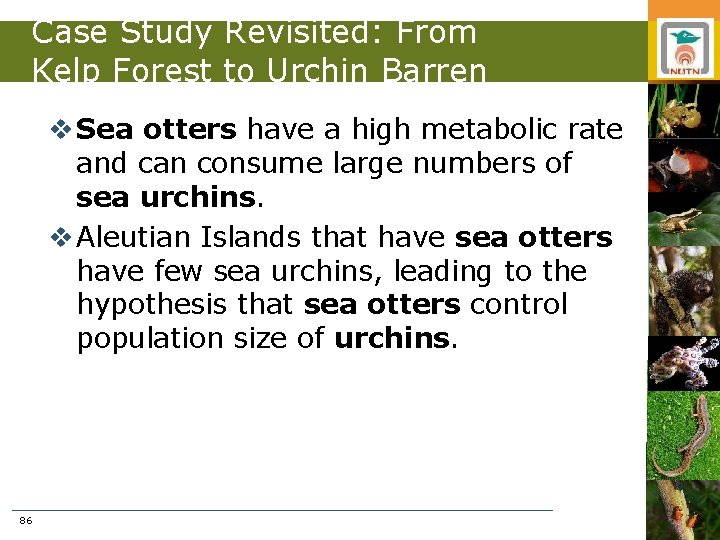 Case Study Revisited: From Kelp Forest to Urchin Barren v Sea otters have a