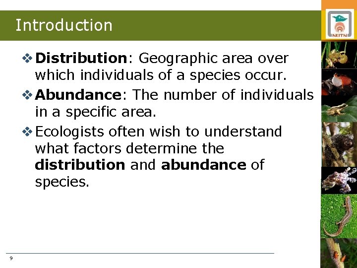 Introduction v Distribution: Geographic area over which individuals of a species occur. v Abundance: