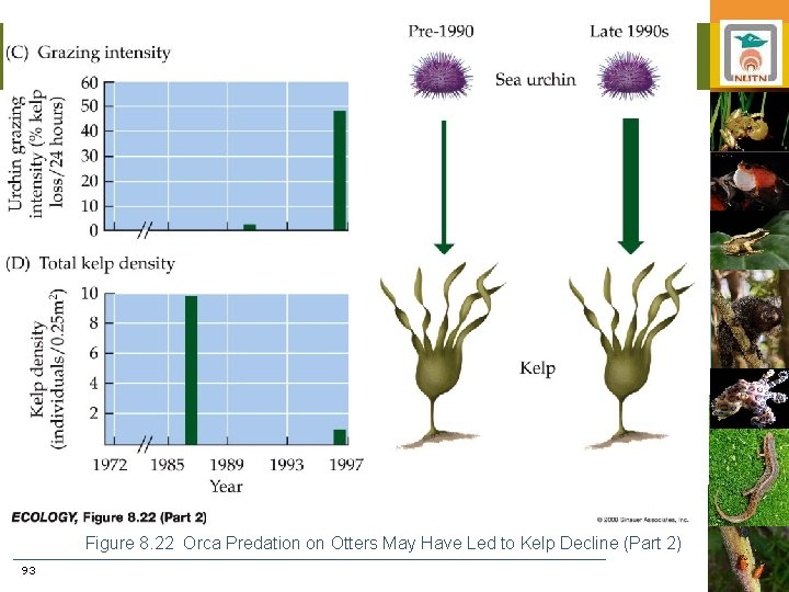 Figure 8. 22 Orca Predation on Otters May Have Led to Kelp Decline (Part