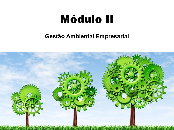 Módulo II Gestão Ambiental Empresarial 