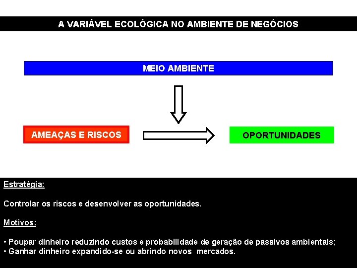 A VARIÁVEL ECOLÓGICA NO AMBIENTE DE NEGÓCIOS MEIO AMBIENTE AMEAÇAS E RISCOS OPORTUNIDADES Estratégia: