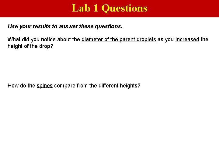Lab 1 Questions Use your results to answer these questions. What did you notice