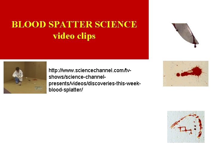 BLOOD SPATTER SCIENCE video clips http: //www. sciencechannel. com/tvshows/science-channelpresents/videos/discoveries-this-weekblood-splatter/ 