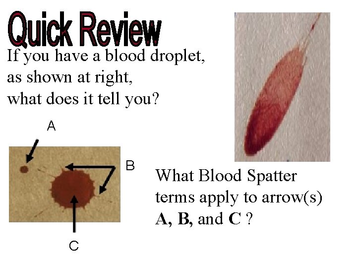 If you have a blood droplet, as shown at right, what does it tell