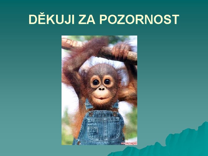 DĚKUJI ZA POZORNOST 