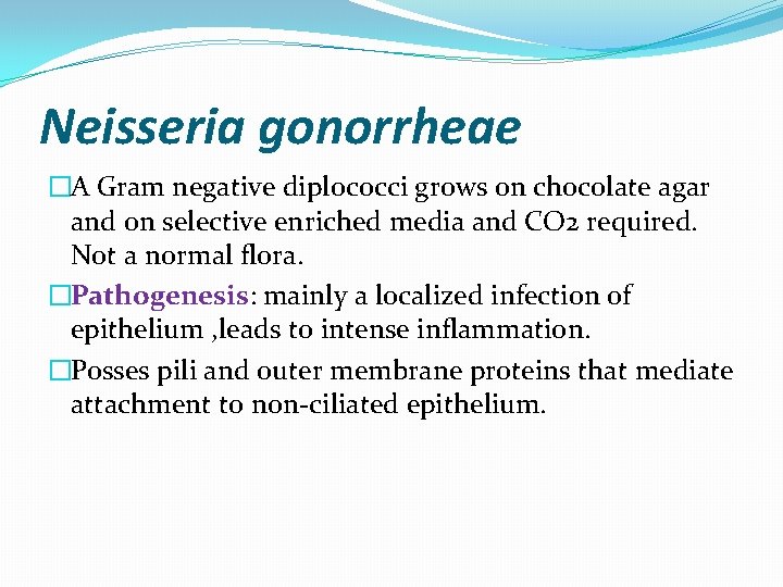 Neisseria gonorrheae �A Gram negative diplococci grows on chocolate agar and on selective enriched