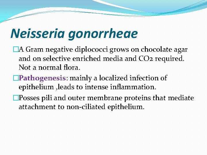 Neisseria gonorrheae �A Gram negative diplococci grows on chocolate agar and on selective enriched Neisseria gonorrheae �A Gram negative diplococci grows on chocolate agar and on selective enriched