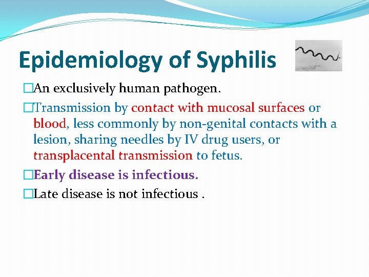 Epidemiology of Syphilis �An exclusively human pathogen. �Transmission by contact with mucosal surfaces or Epidemiology of Syphilis �An exclusively human pathogen. �Transmission by contact with mucosal surfaces or