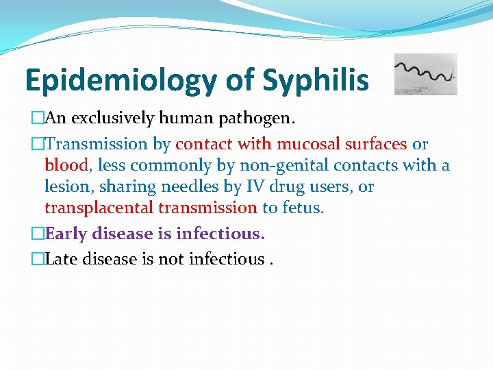 Epidemiology of Syphilis �An exclusively human pathogen. �Transmission by contact with mucosal surfaces or